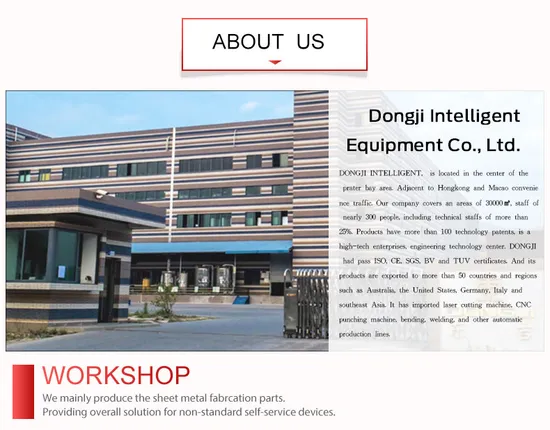 Precision Laser Cut Metal Parts for OEM Services 